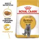 FBN British Shorthair 2kg